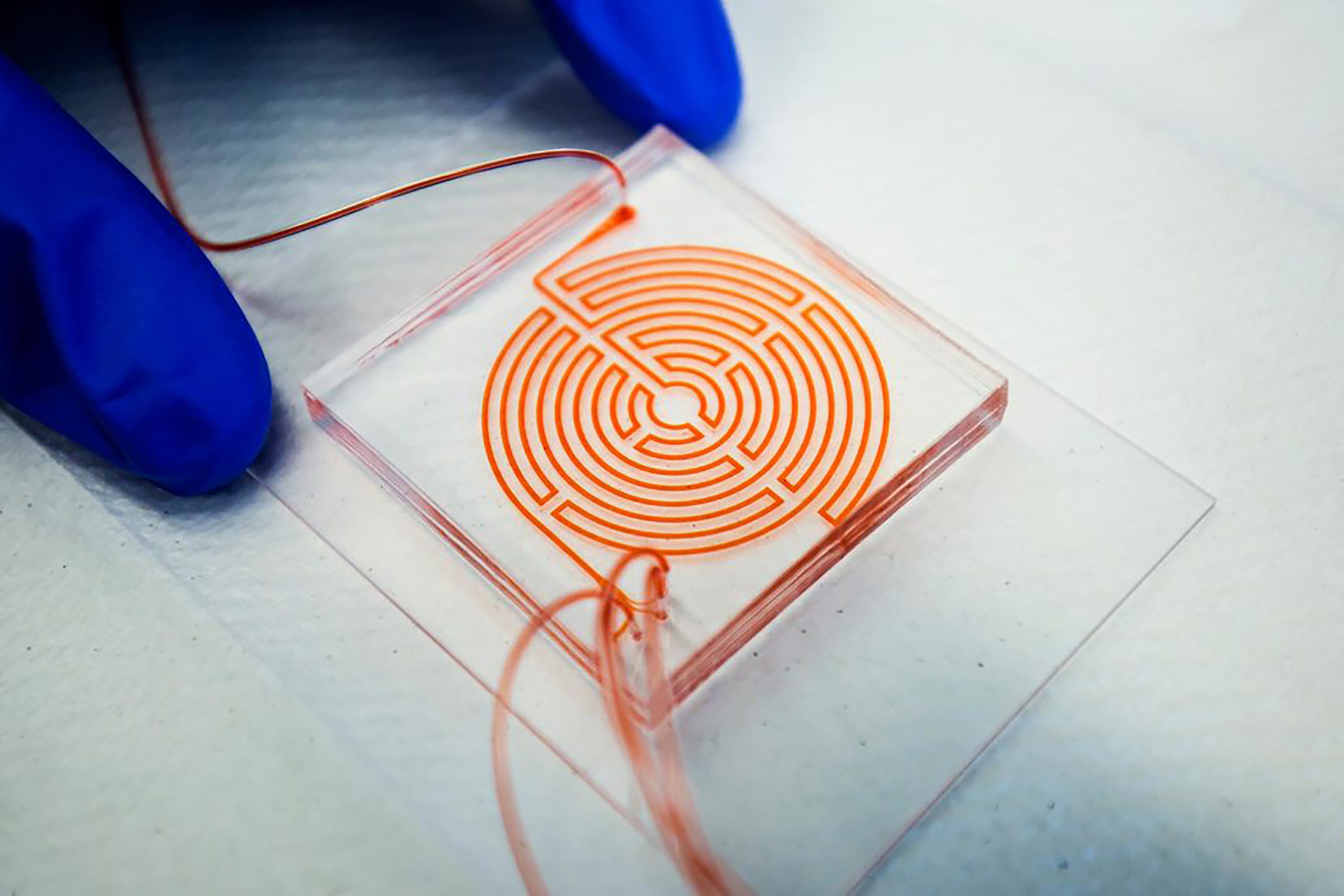 Labyrinth chip developed by Nagrath and Wicha used in clinical trial